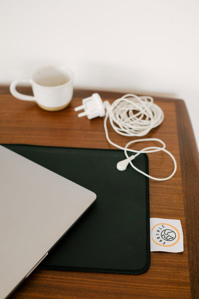 Earthle Earthing Stekker + Kabel